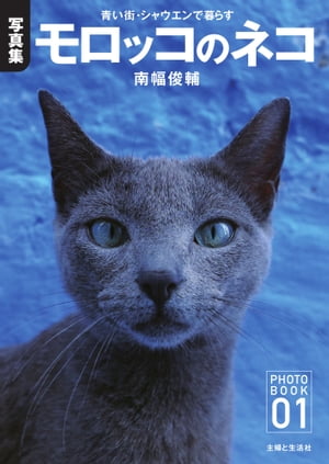 【デジタル写真集】モロッコのネコ青い街・シャウエンで暮らす